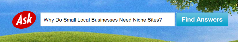 3 Reasons Why Small Local Businesses Need Niche Sites