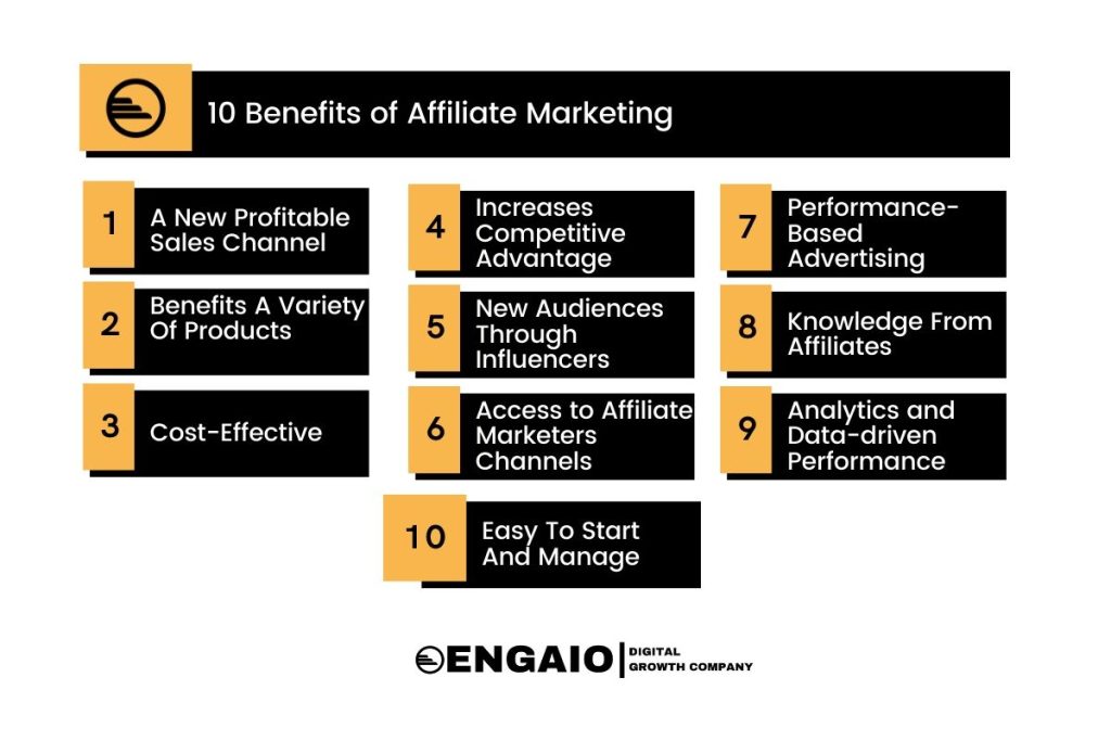 Insights from Affiliate Marketers