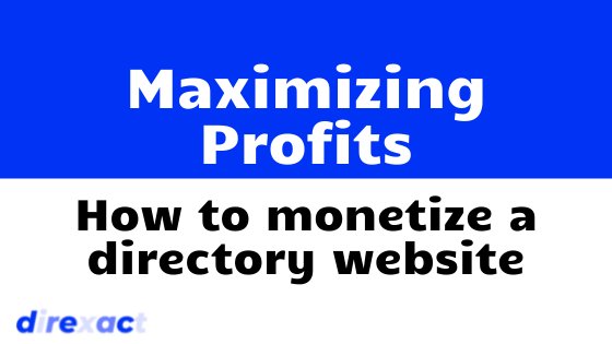 Maximizing Profits: Effective Strategies for Monetizing Your Niche Website