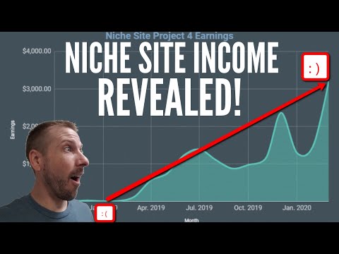 How My Amazon Affiliate Niche Site Made Over $3,000 Last Month: Site & Strategies Revealed!