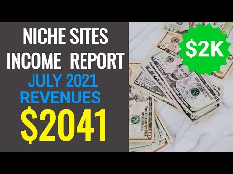 Niche Sites Earning – July 2021 | Micro Niche Blog Income Report | Portfolio Profit & Loss Report