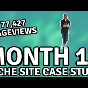Race to $1000 Niche Site Case Study – Month 11