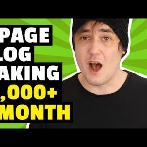 4 Page Niche Blog Making $1k+/Month [CASE STUDY]