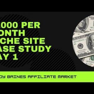 $1000 Per Month Affiliate Niche Site Case Study Day 1