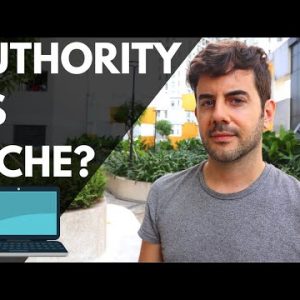 Should You Make Many Niche Sites or Focus on One Big Authority Site?