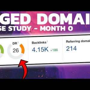 SCALING TO 300,000 Page Views – MONTH 1 (NICHE SITE)