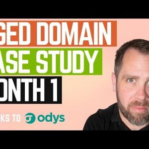 Building a Niche Site on An Aged Domain – Project Icarus – Month 1