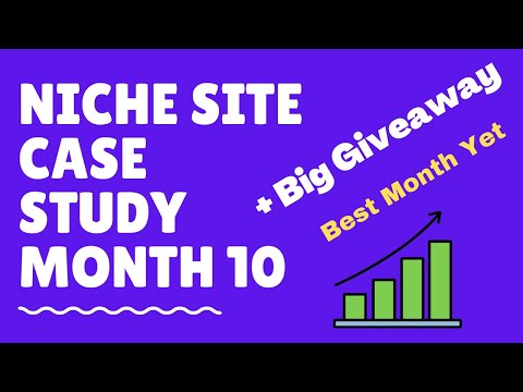 Niche Site Case study month 10 | Blogging Niche Site Case Study