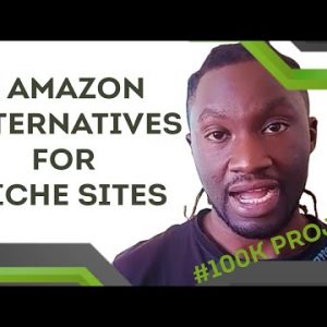 Niche Site Case Study: 100K Project  (4 Amazon Alternatives for Niche Sites)